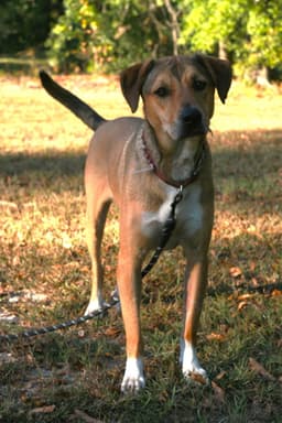 Nora image 1