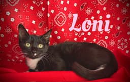 Loni image 2