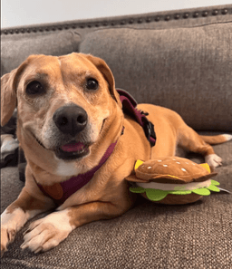 Maggie image 1