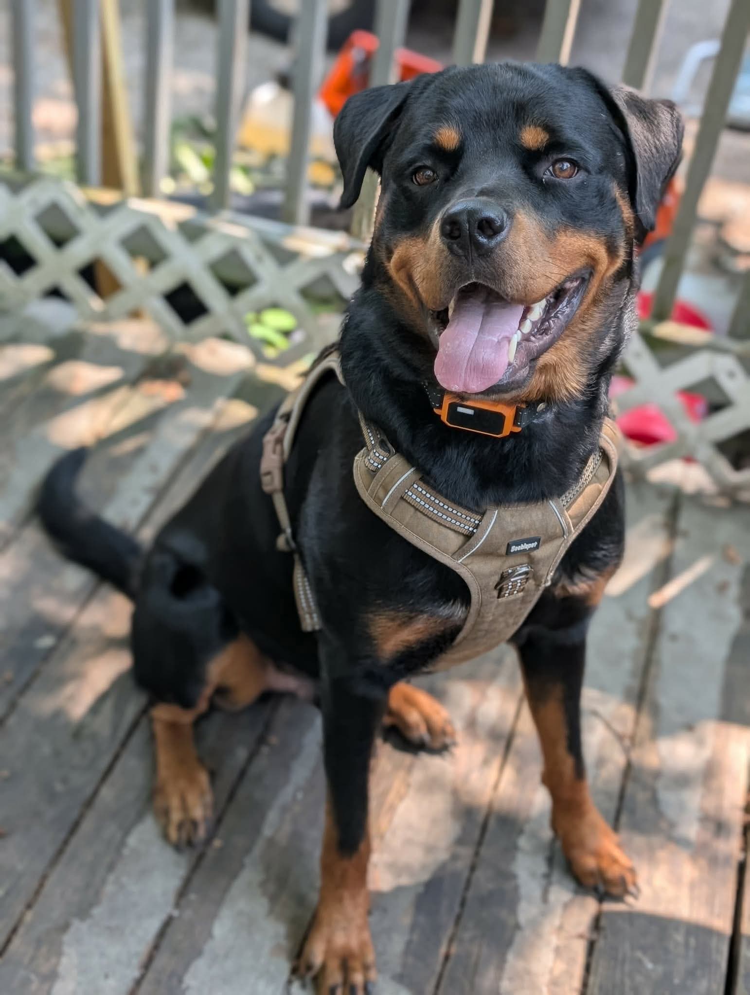 Murphy