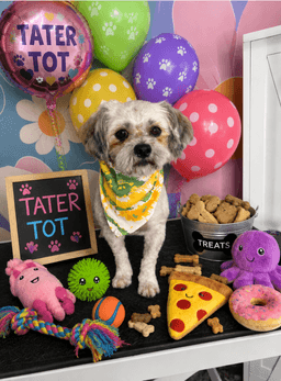 Tater Tot image 1