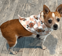Blanket image 4