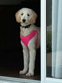Mattie image 3