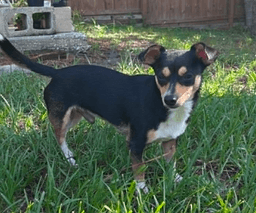 Max image 3