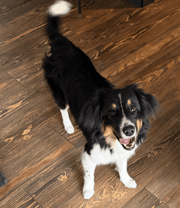 Maggie image 2