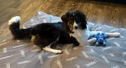 Maggie image 3