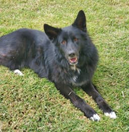 Sadie Bc image 2