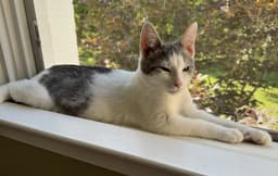 Freddie image 3