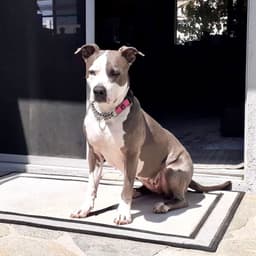 Peggy image 1