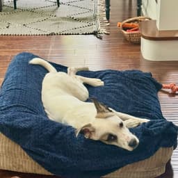 Tucker image 2