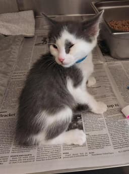 Unknown image 1