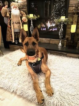 Winston - Ny - Courtesy Post image 2