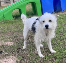 Flora Mae In Tx image 2