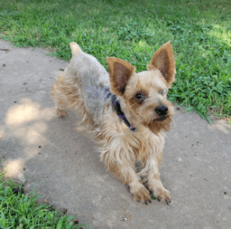 Mila In Tx image 1