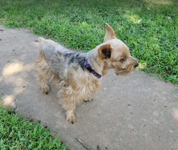 Mila In Tx image 2