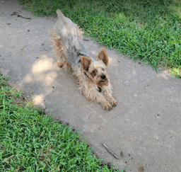 Mila In Tx image 3
