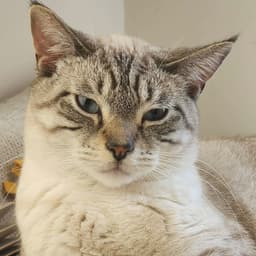 Casper image 1