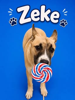 Zeke image 4