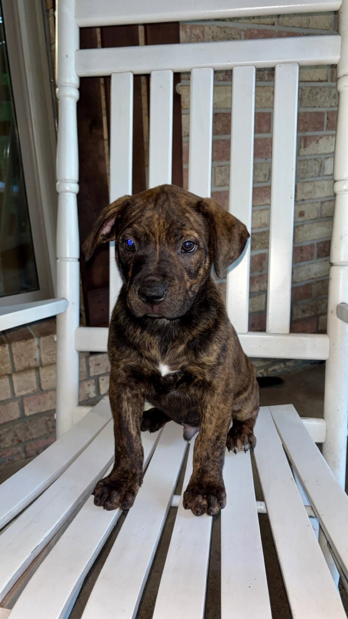 Rusty - Unknown