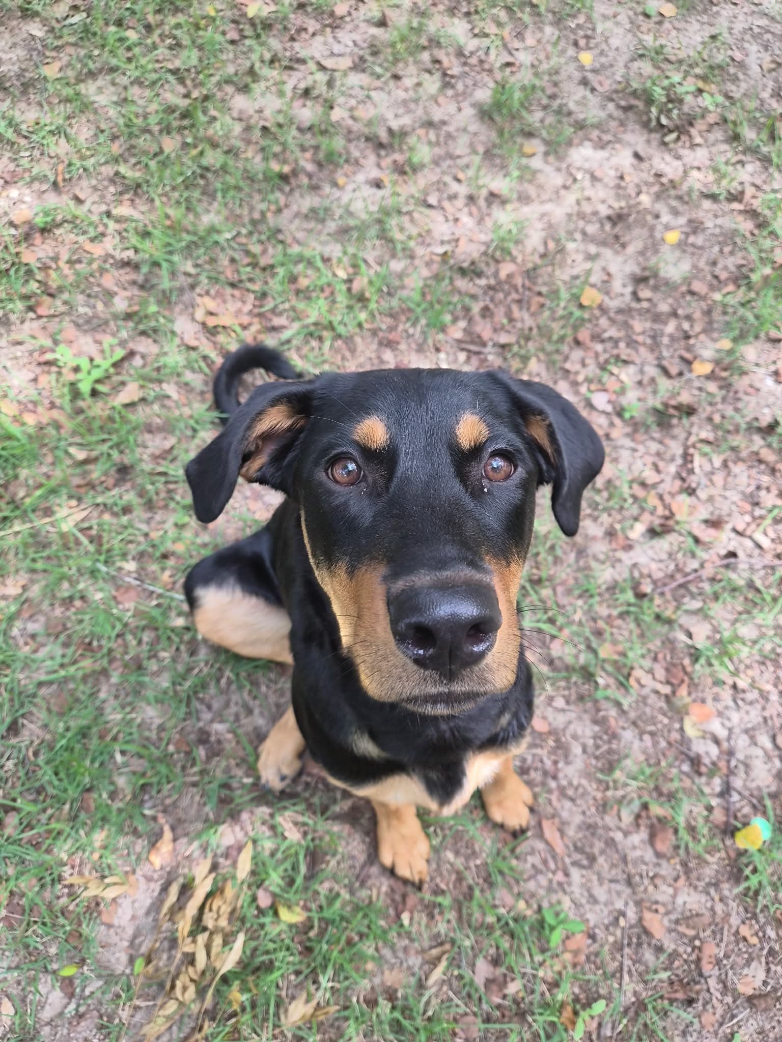 Zelda - Unknown
