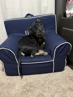Milo Scruff image 3