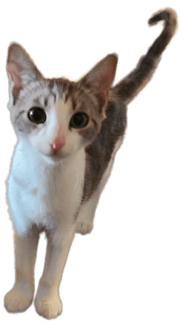 Oda Mae image 2