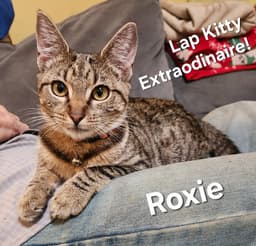 Roxie image 1