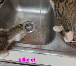 Billie Ei image 2