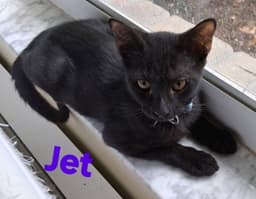 Jet image 1