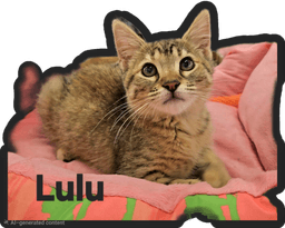 Lulu image 1