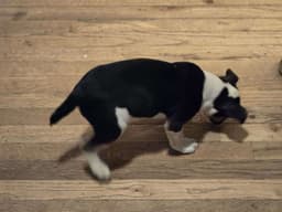 Sally image 3