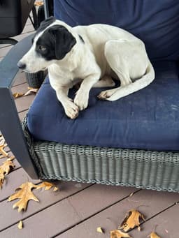 River image 2