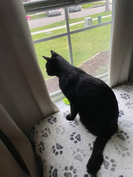 Edgar