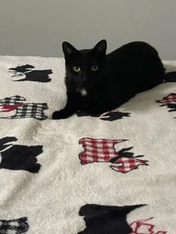 Edgar image 2