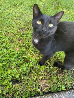 Edgar image 4