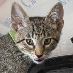 Banner image 2