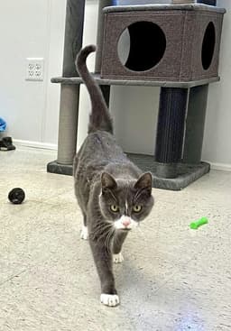 Max image 1