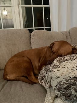 Jt image 2