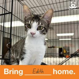 Edith image 2