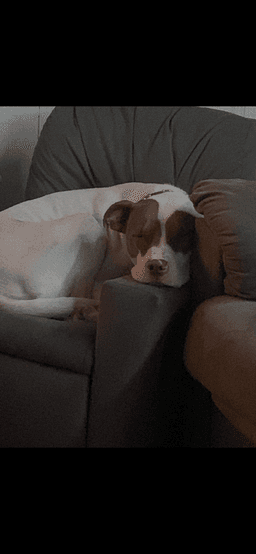 Jax Courtesy Post image 1