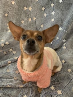Freya image 2