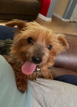 Tilly image 3
