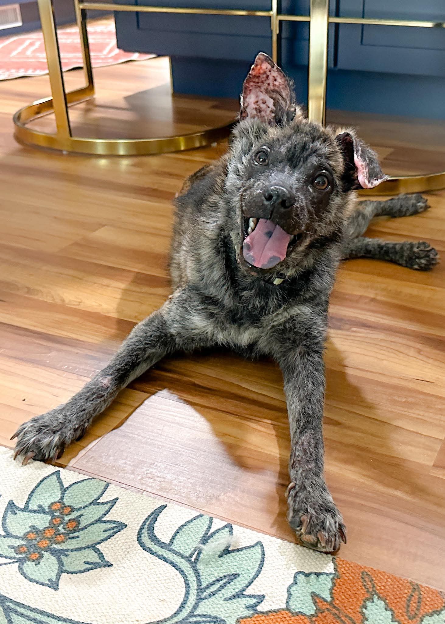 Ruebee - Shepherd