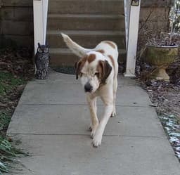 Bernie image 2