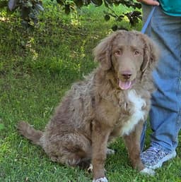 Arlo image 2