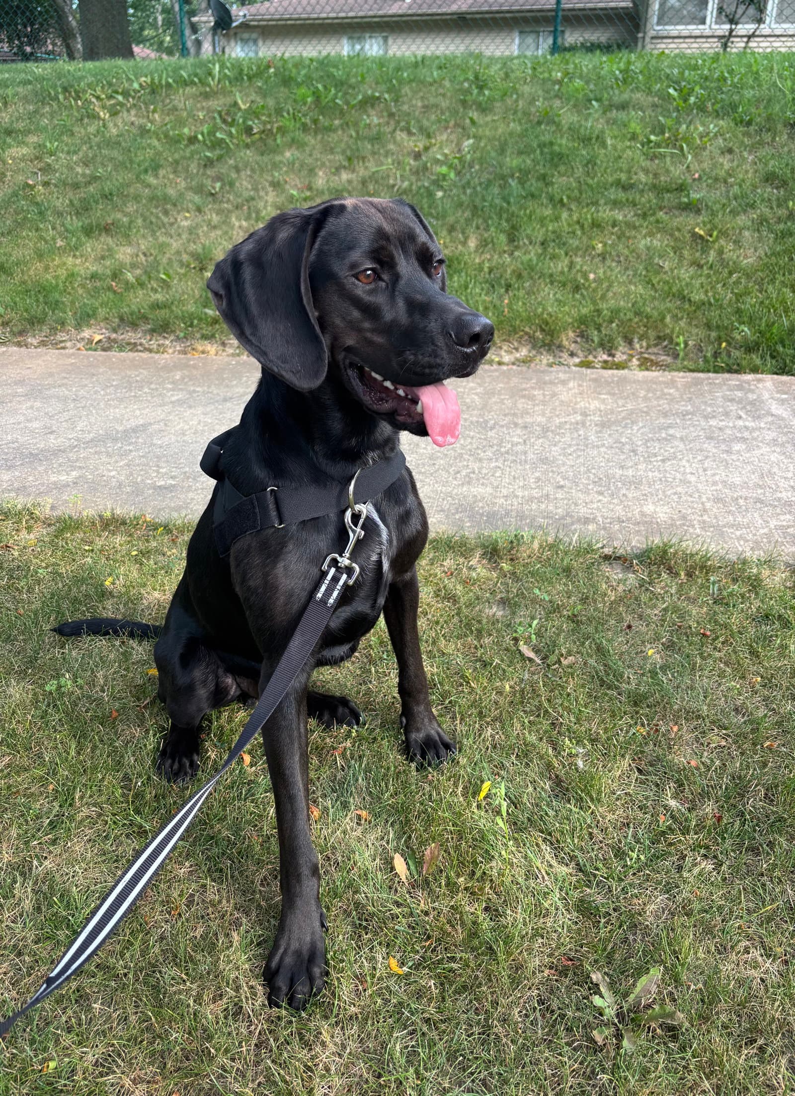 Winston