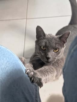 Minky image 3