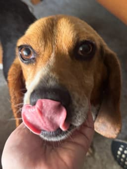 Charlie image 3