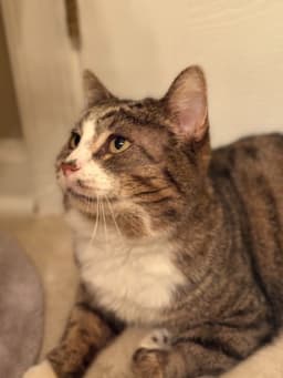 Ralph image 2
