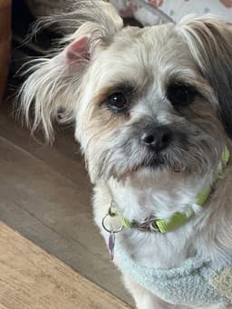 Snickers image 1